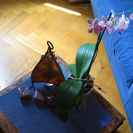 Maria-Rosa Guesthouse Roma Ngoại thất bức ảnh