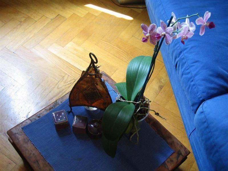 Maria-Rosa Guesthouse Roma Ngoại thất bức ảnh